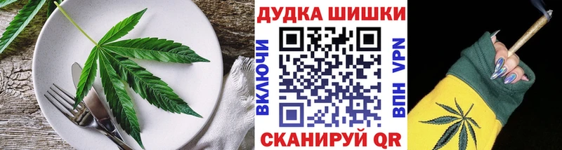 Cannafood конопля  Купить закладки  Новая Ладога 