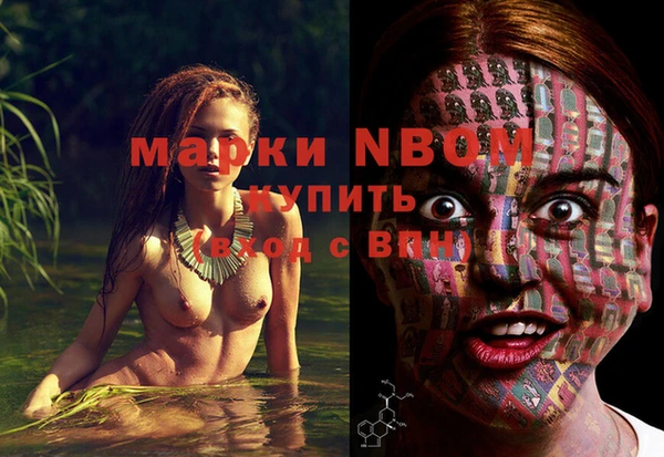 скорость Вяземский