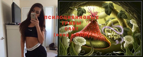 скорость Вяземский