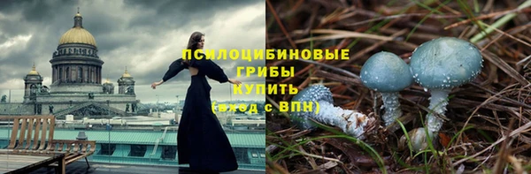скорость Вяземский