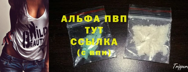 скорость Вяземский
