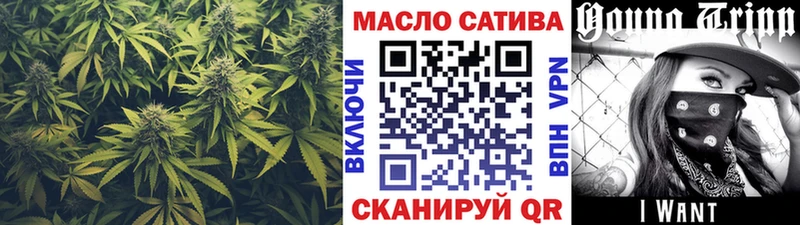 ТГК THC oil  Купить закладки  Новая Ладога 