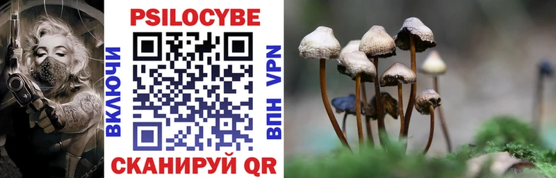 Галлюциногенные грибы Magic Shrooms  Купить где  Новая Ладога 
